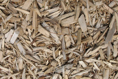 biomass boilers Farington Moss